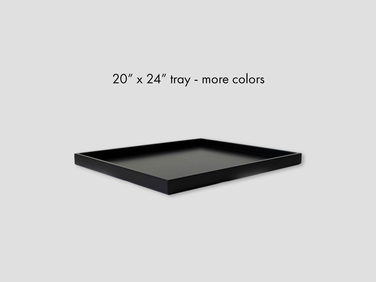 20 x 24 Shallow Rectangular Tray