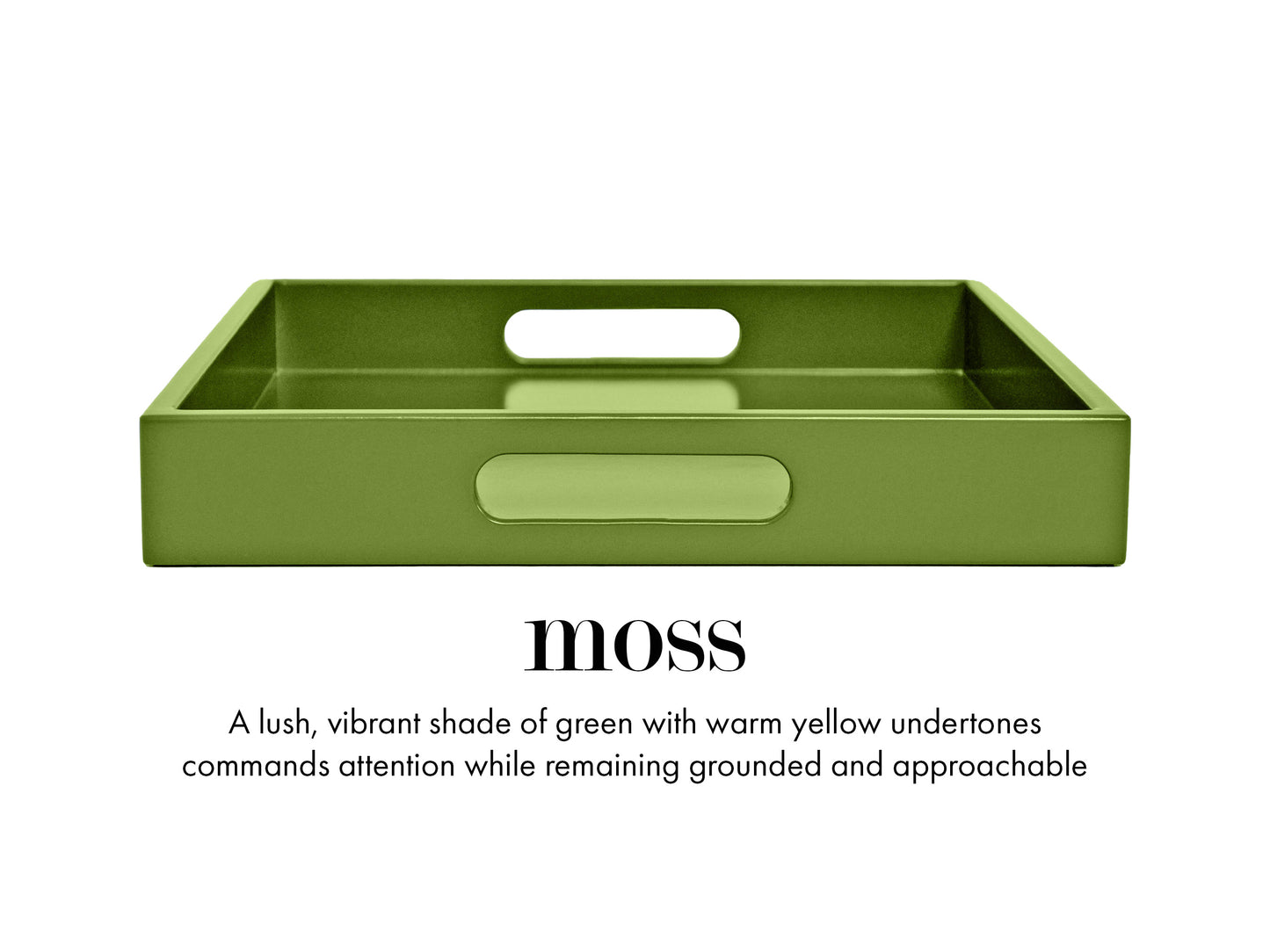 15 x 22 Rectangular Tray with Handles