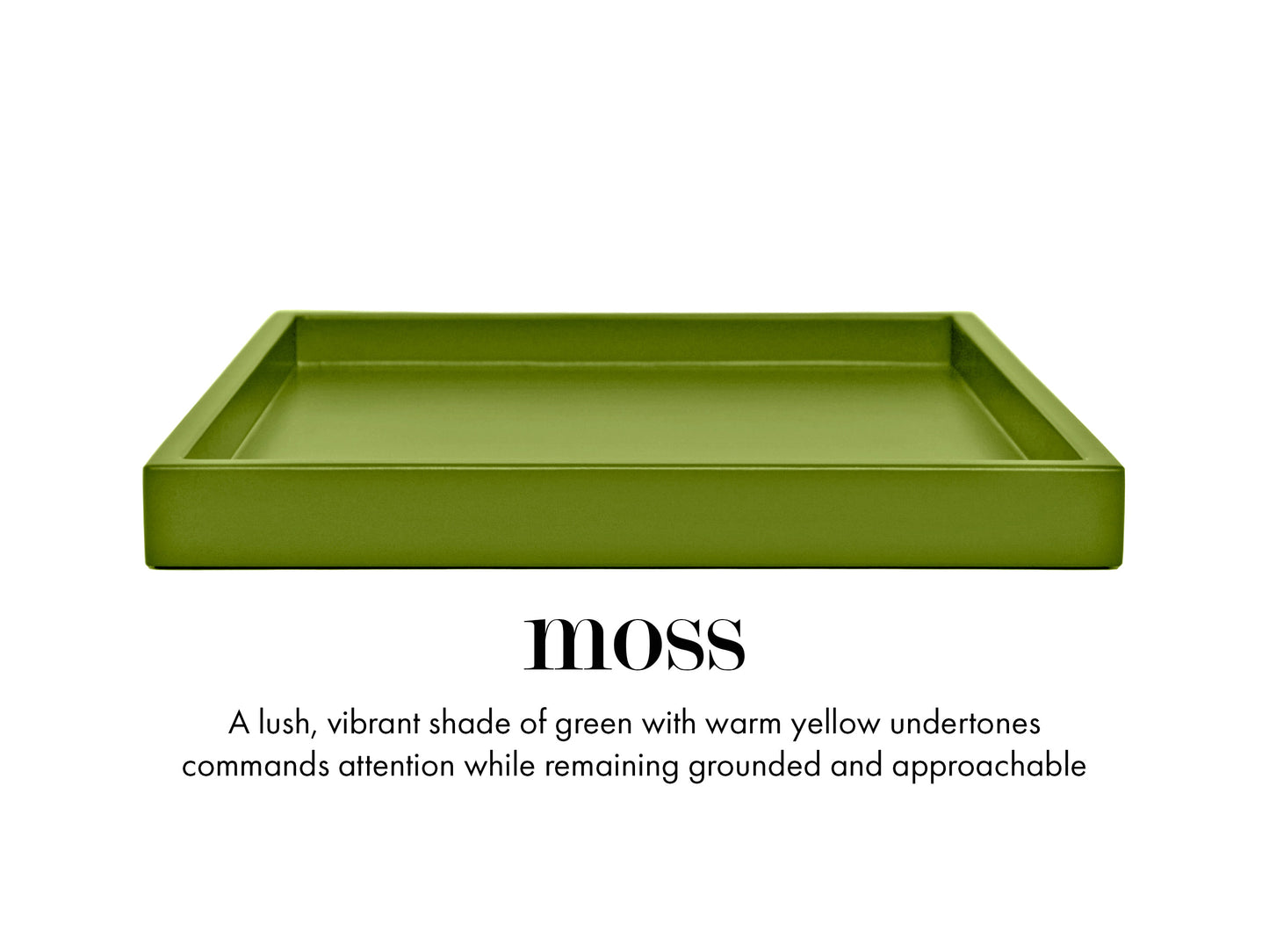 15 x 22 Shallow Rectangular Tray