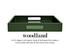 15 x 22 Rectangle Tray with Handles