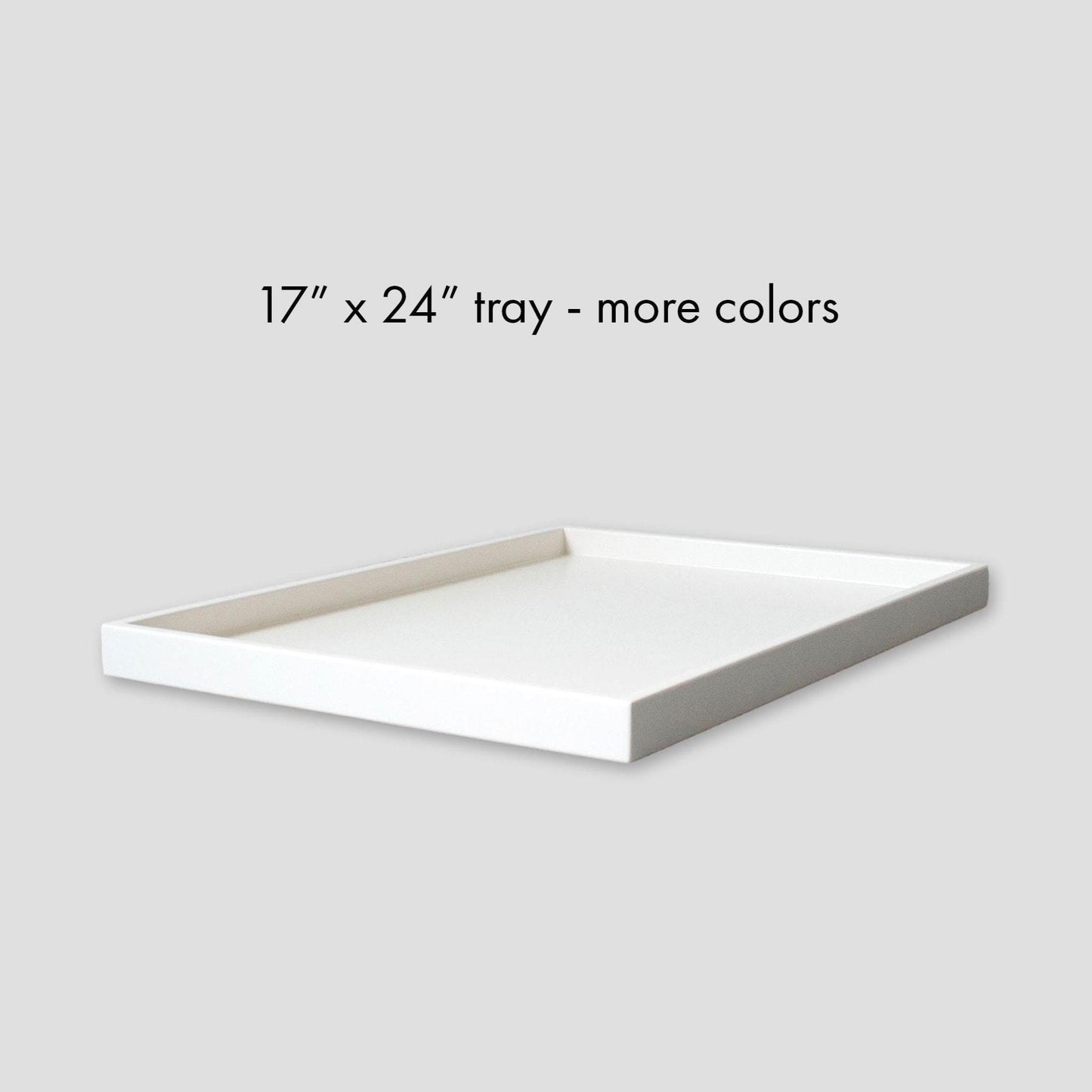 17 x 24 Shallow Rectangular Tray