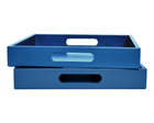 Blue Tray with Handles